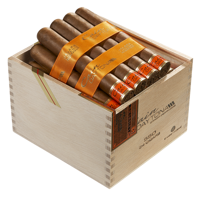 Cain Daytona by Oliva