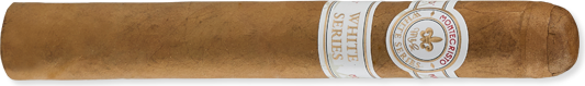 Especial #3 (5.5" x 44)