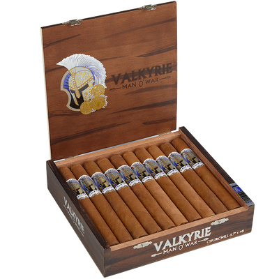 Man O' War Valkyrie