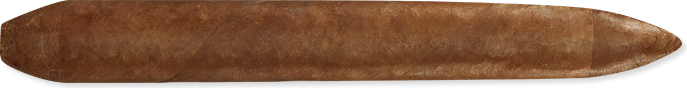 Salomon (7.1" x 58) - Habano