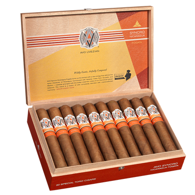 AVO Syncro Nicaragua Fogata