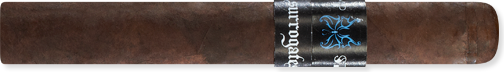 Tramp Stamp (5.2" x 48)