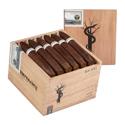 RoMa Craft Intemperance BA XXI